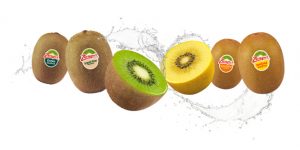 Zespri Green and SunGold